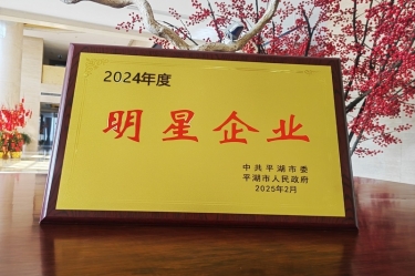 新春新景新气象 | 8868体育官网登录入口在平湖三干大会上喜摘荣誉！